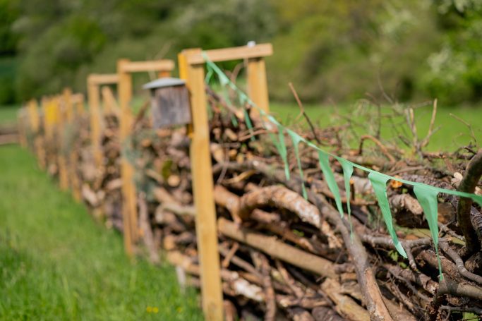 Businessfotos, deine Profession